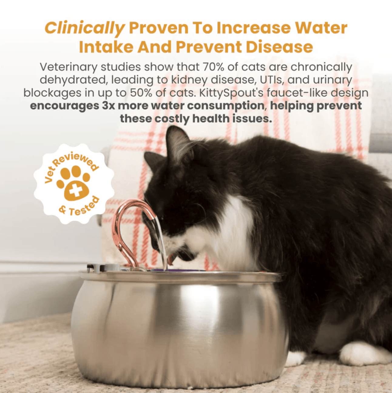 Health And Happiness Cat Kit