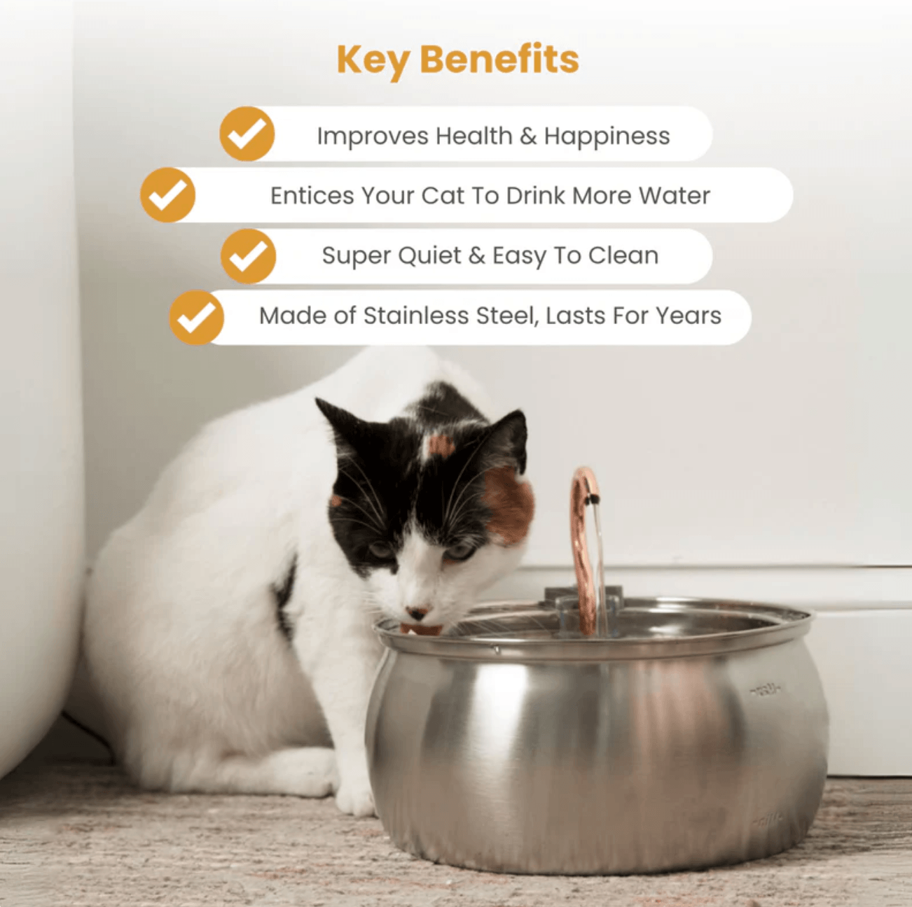 Health And Happiness Cat Kit