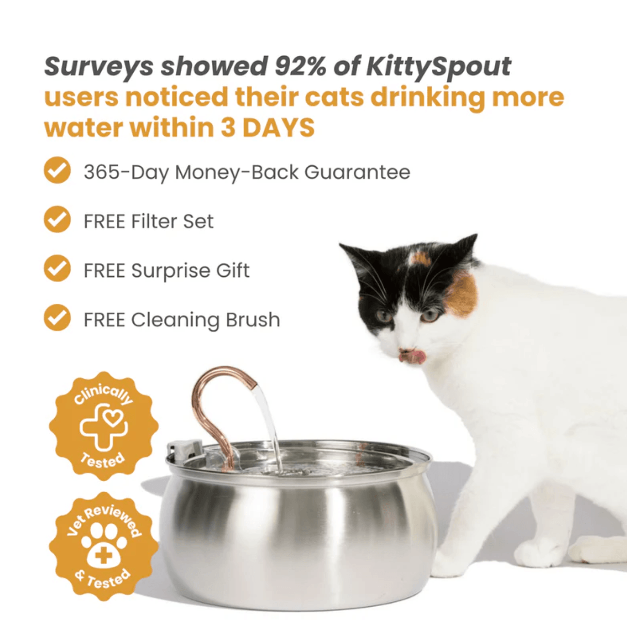 Health And Happiness Cat Kit