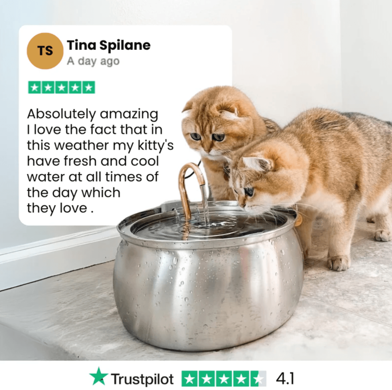Health And Happiness Cat Kit