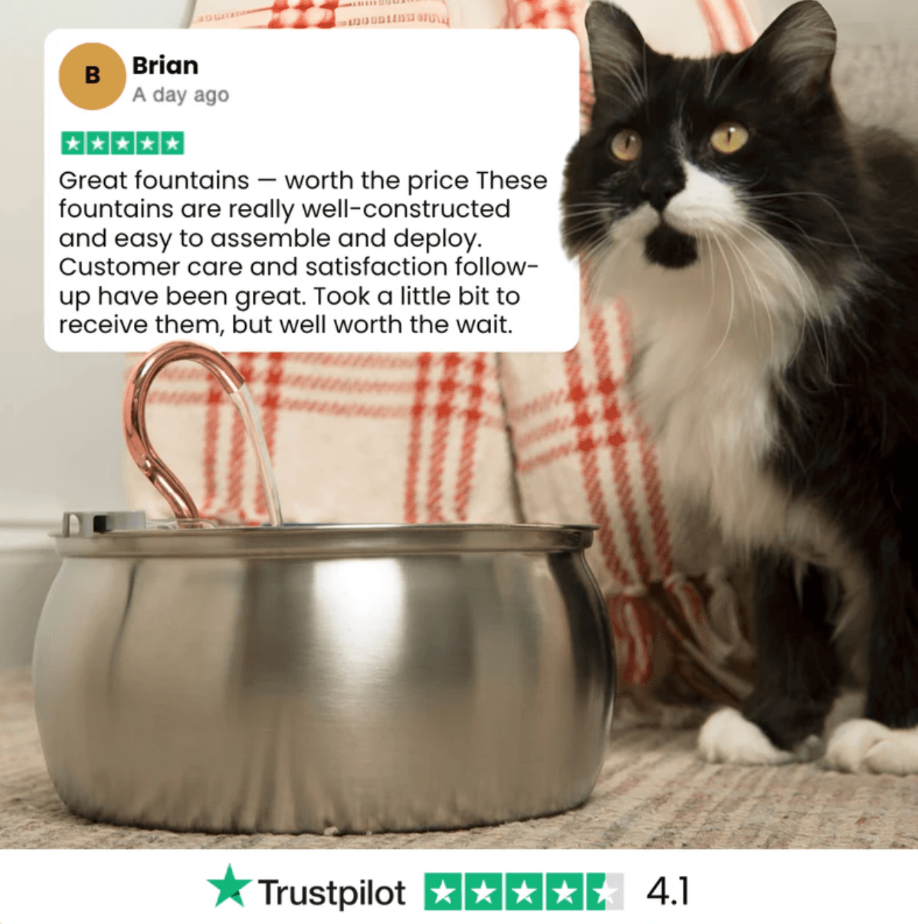 Health And Happiness Cat Kit