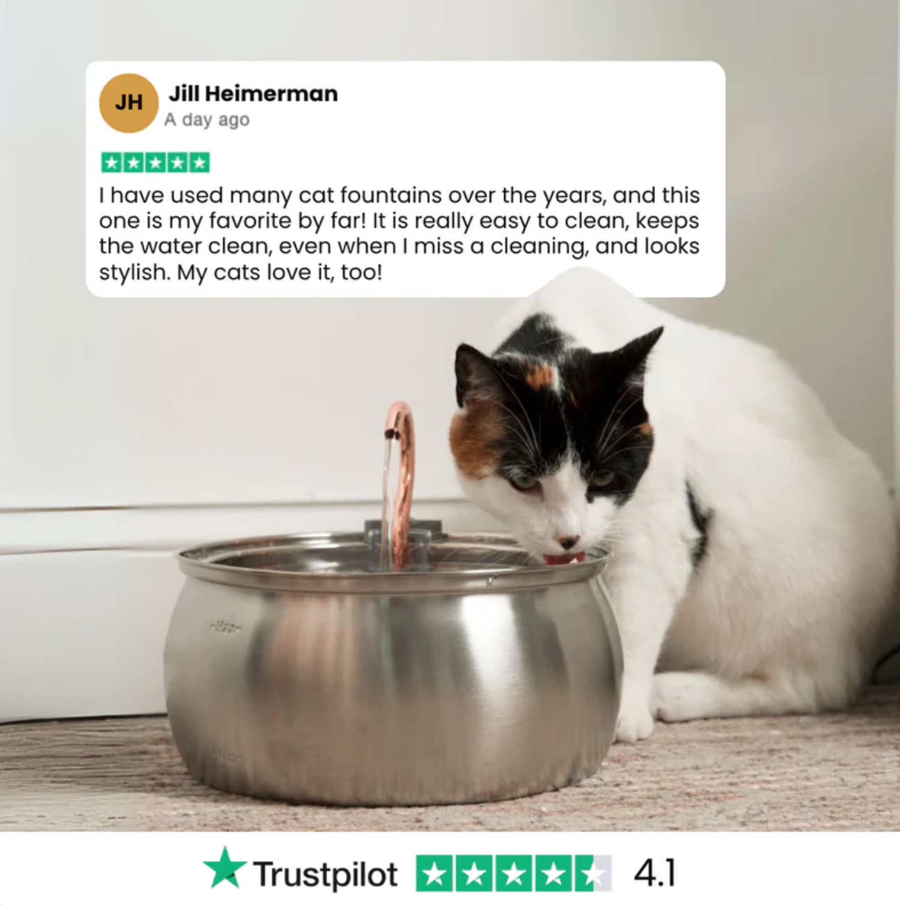 Health And Happiness Cat Kit